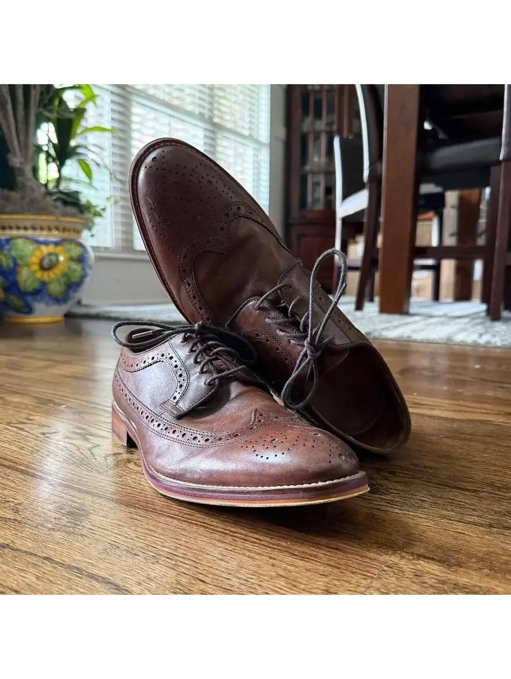 👞 Johnston & Murphy Brown Leather Wingtip Oxfords